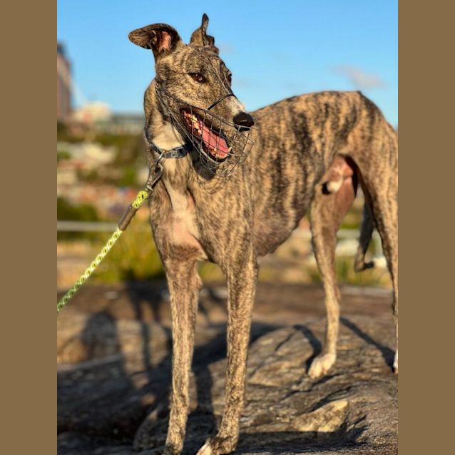 Photo of Lochie