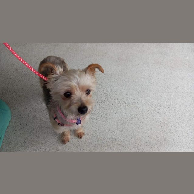 Photo of Alice & Joey