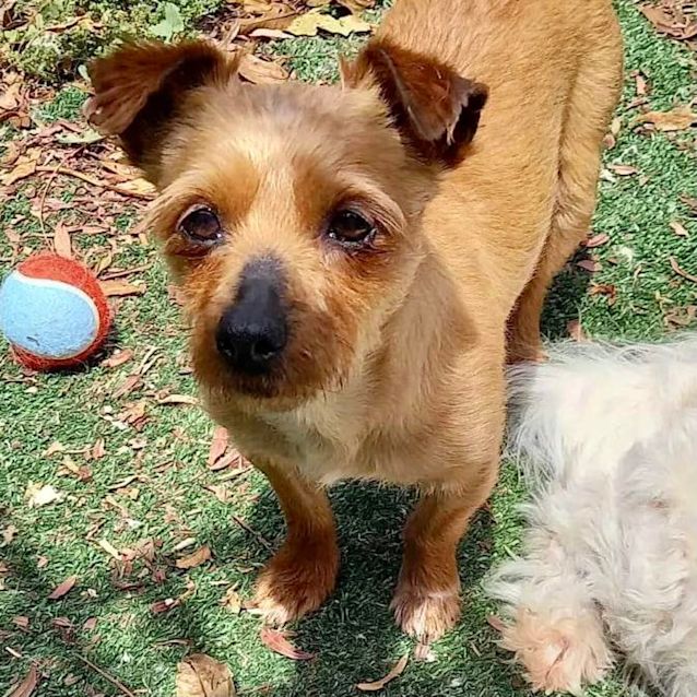 Photo of Alice & Joey