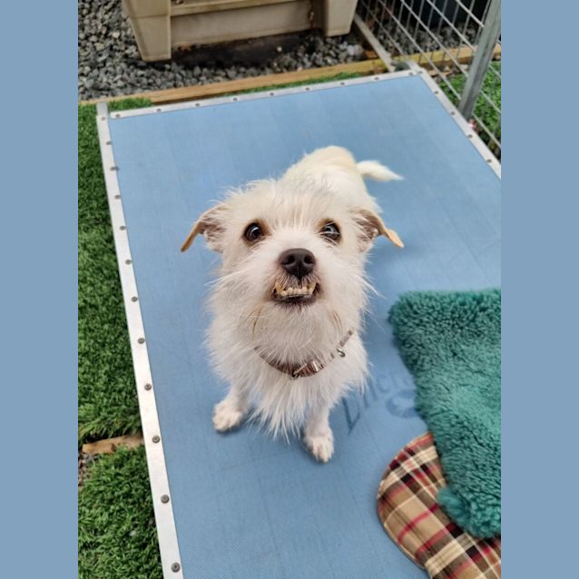 Photo of Snowflake