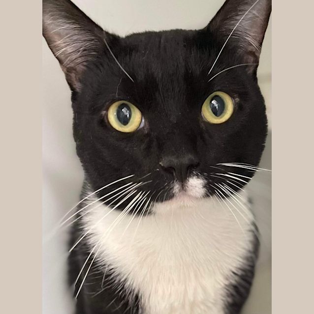 Photo of Nick Miller