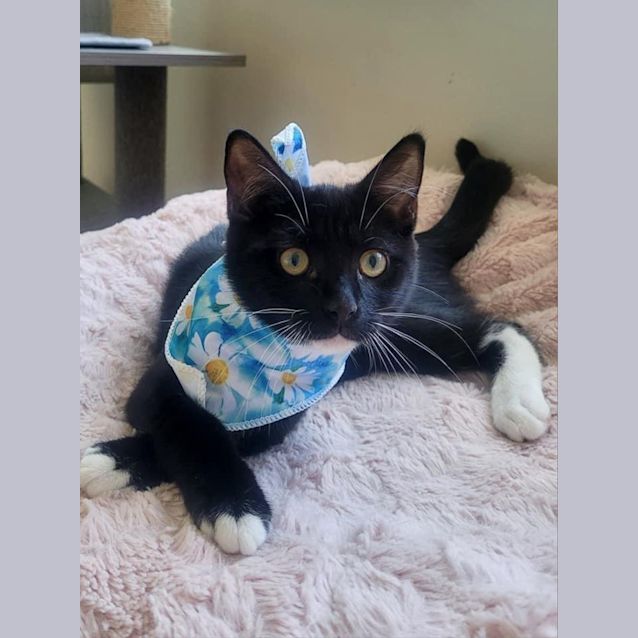 Photo of Betsy