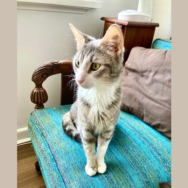 Photo of Winnie