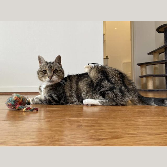 Photo of Grandma Tiddles