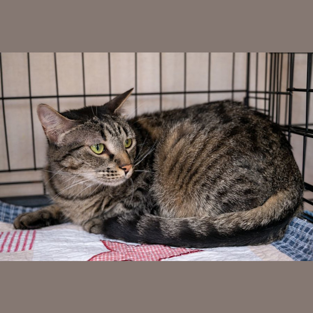 Photo of Stormy
