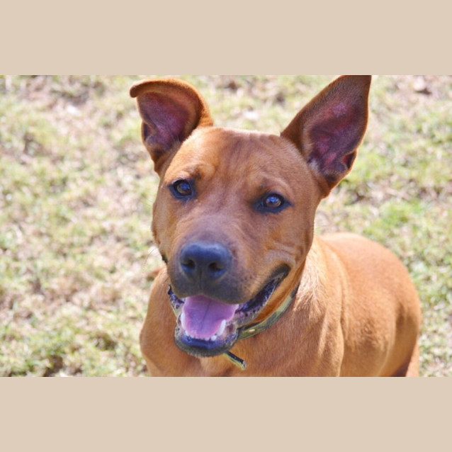 Photo of Bentley