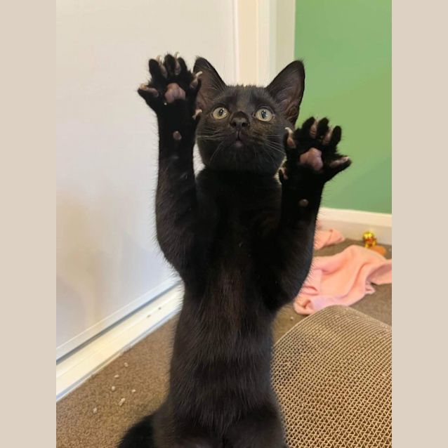 Photo of Cashew & Walnut