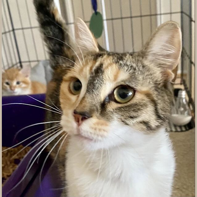 Photo of Georgie Calix