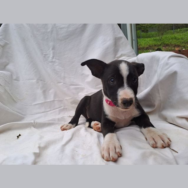 Photo of Betty Lou
