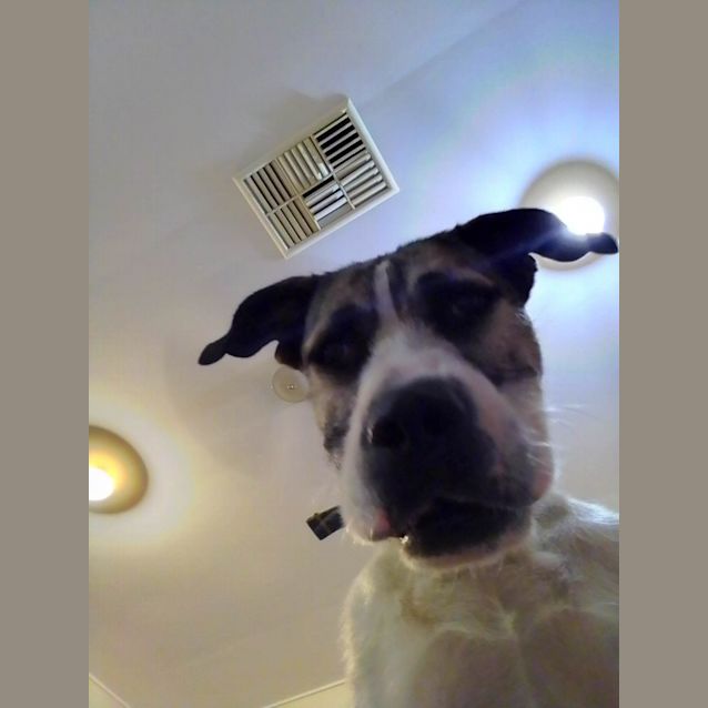 Photo of Baxta