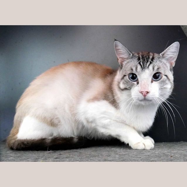 Photo of Husk Sta010833