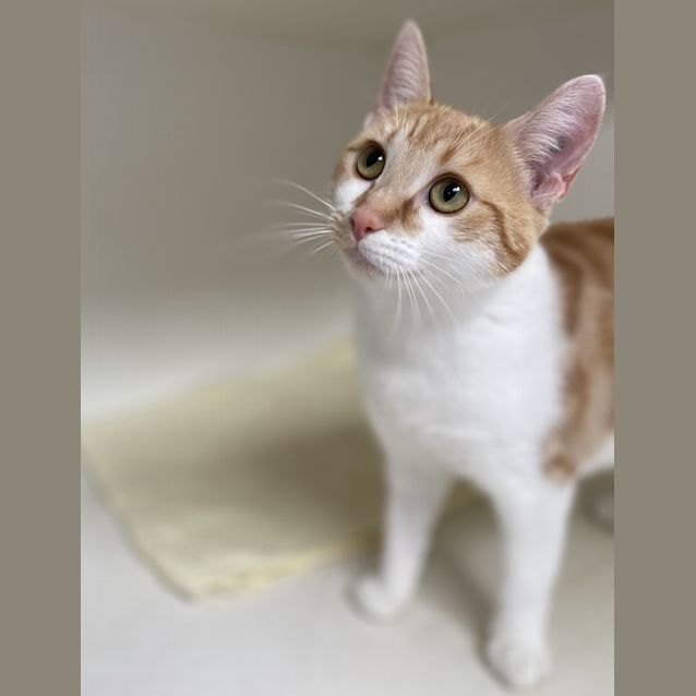 Photo of Dora