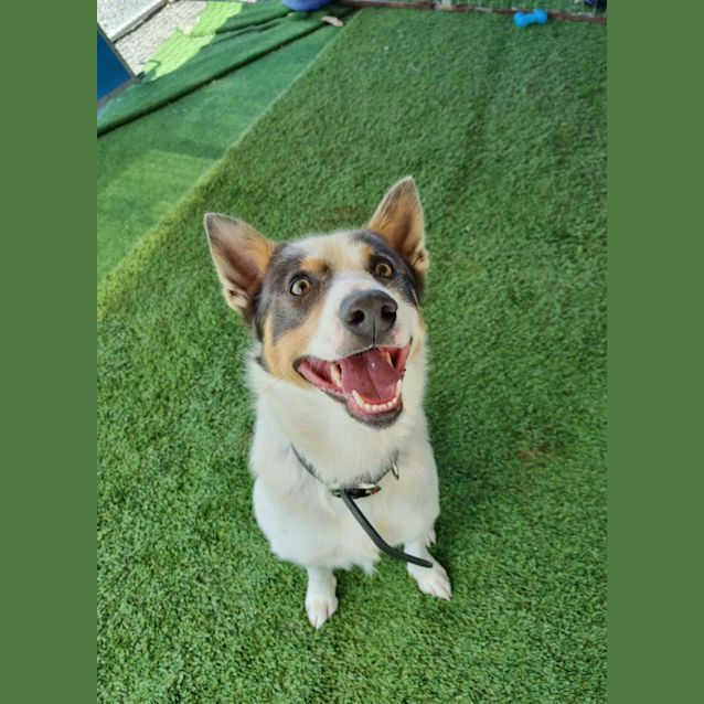 Photo of Clyde