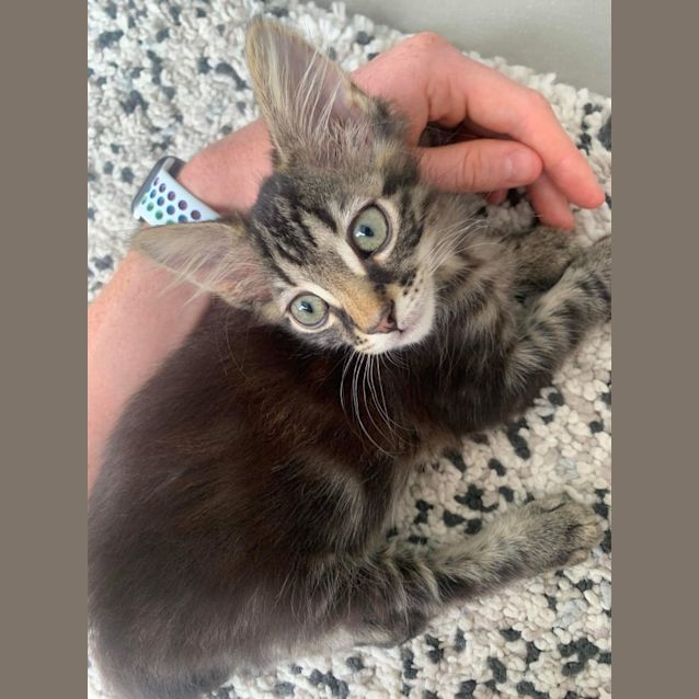 Photo of Sporty Spice 