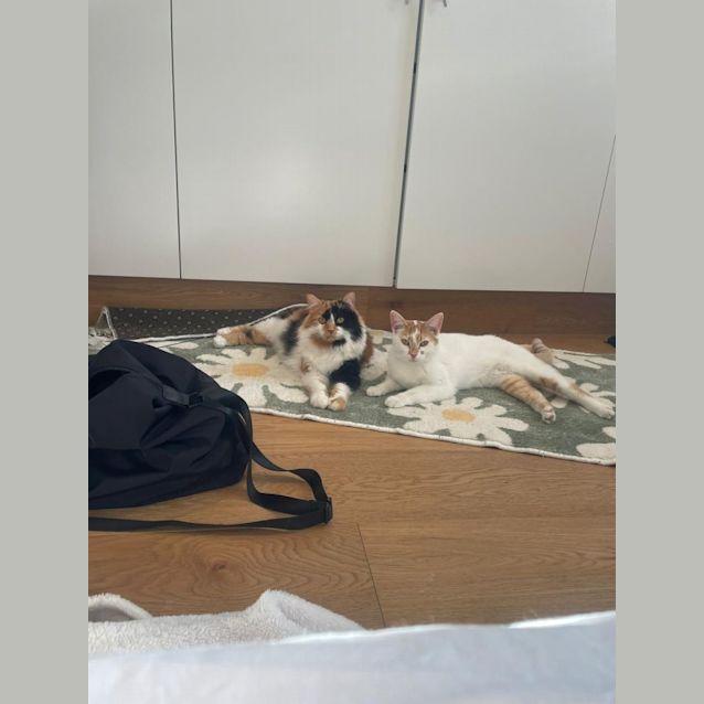Photo of Lexie