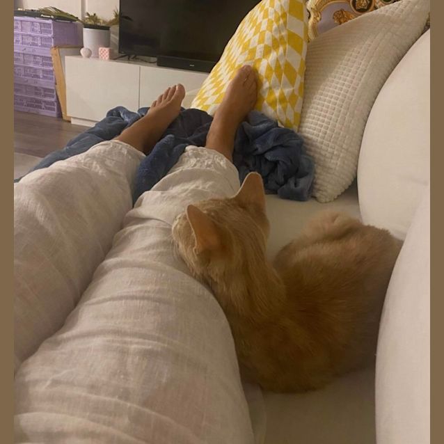 Photo of Maple Syrup 