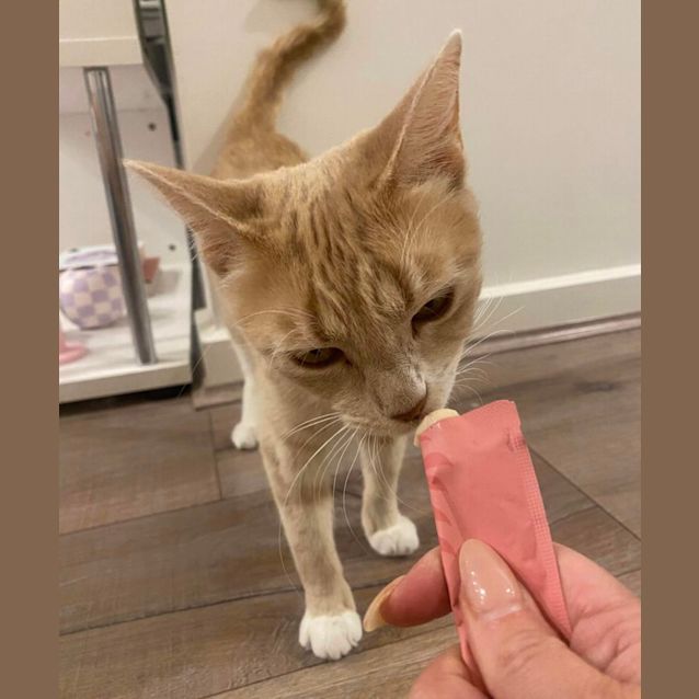 Photo of Maple Syrup 