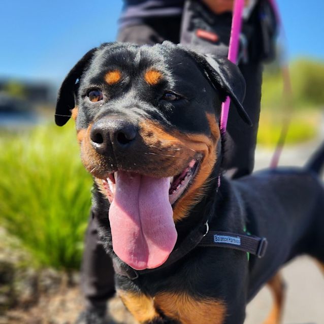 Photo of Mavis