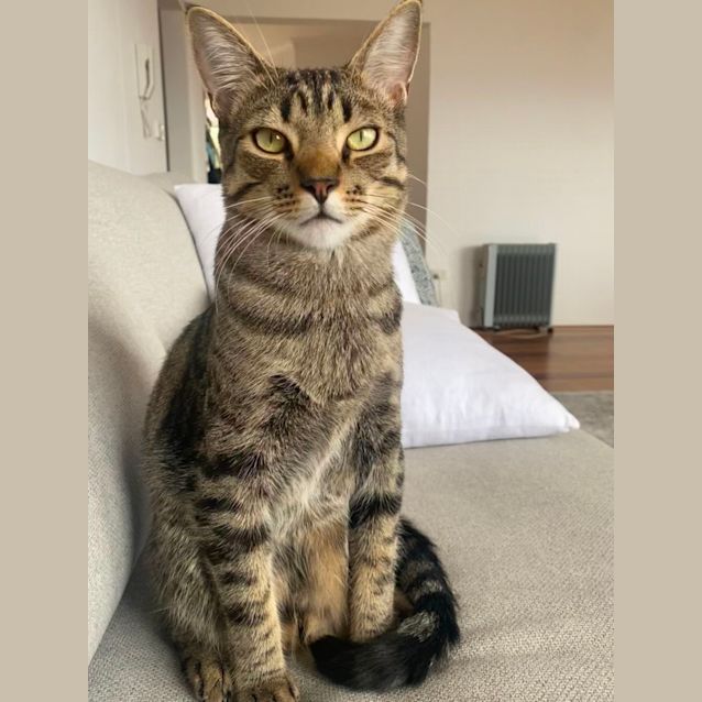 Photo of Pepe And Ned