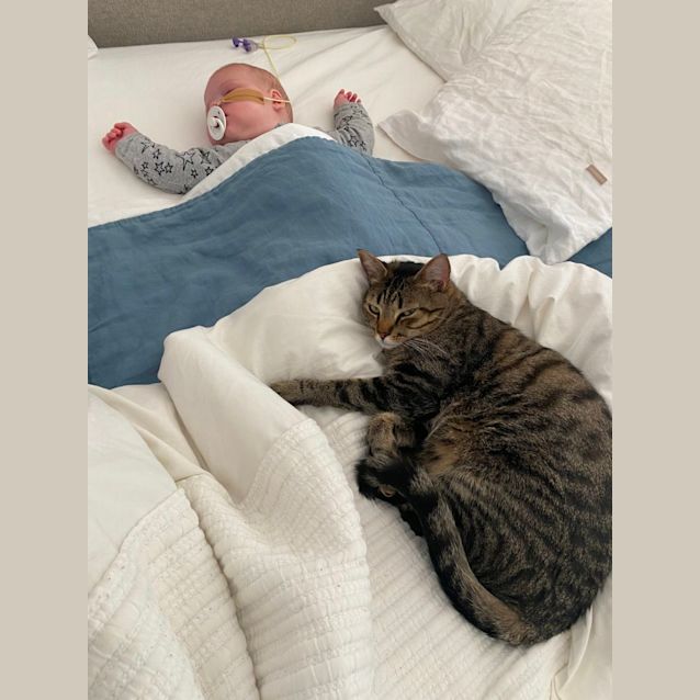 Photo of Pepe And Ned