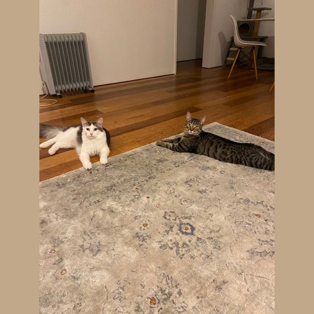 Photo of Pepe And Ned