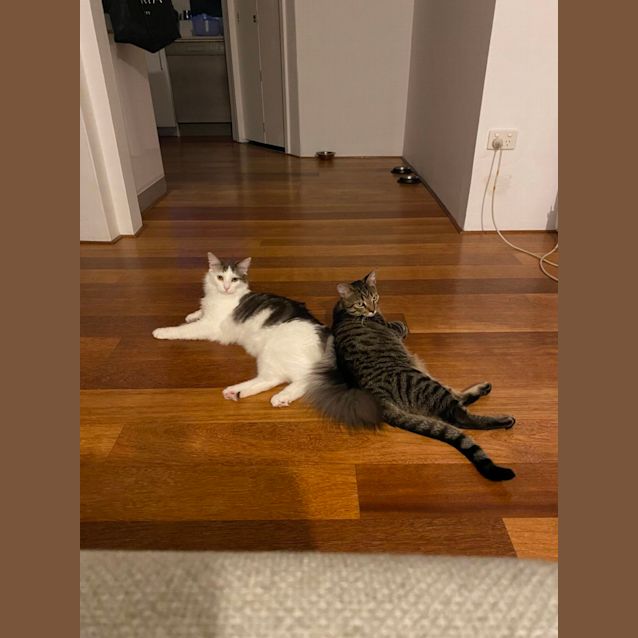 Photo of Pepe And Ned