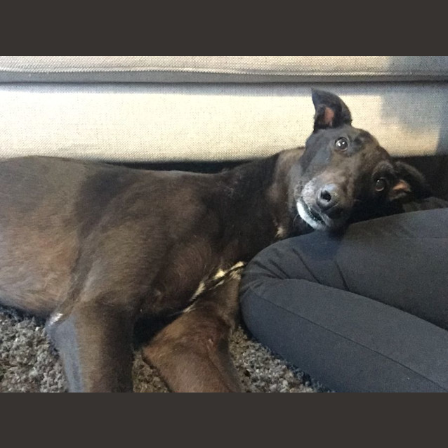 Photo of Otto