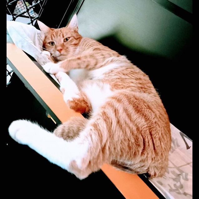 Photo of Jinx
