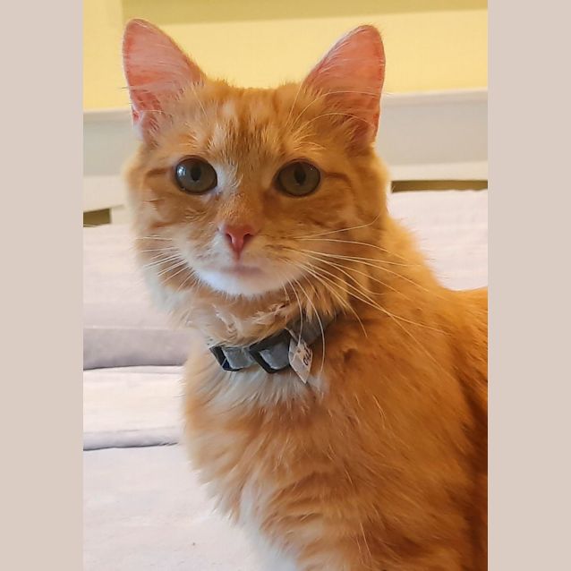 Photo of Sunny   Located In Albert Park