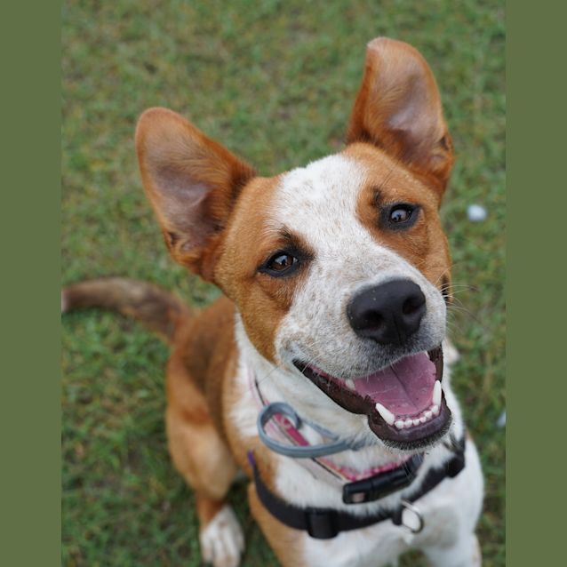 Photo of Murphy