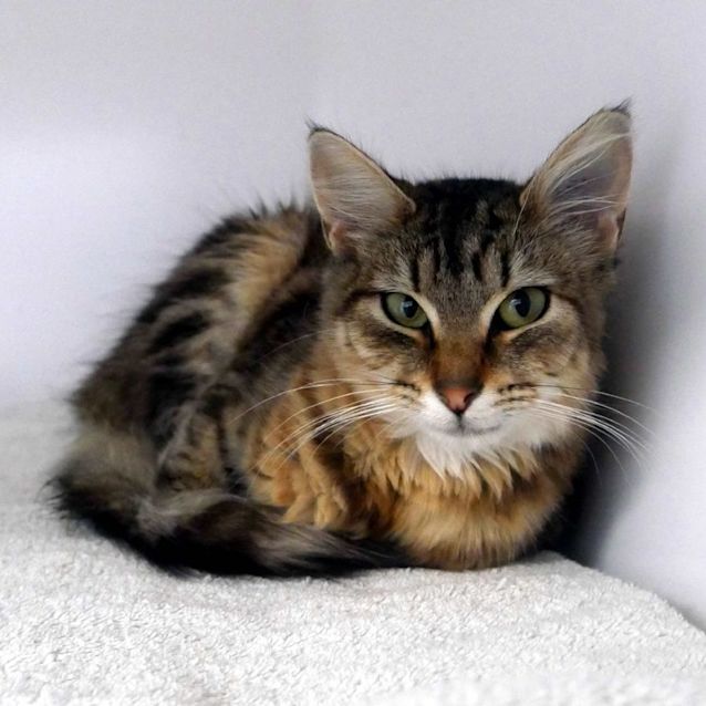 Photo of Shelly Sua010954