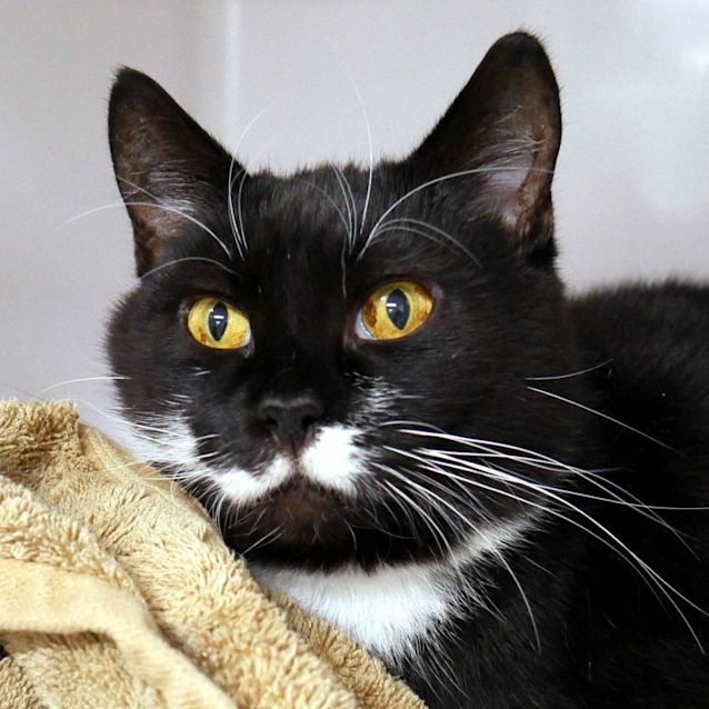 Photo of Stella Sua010912