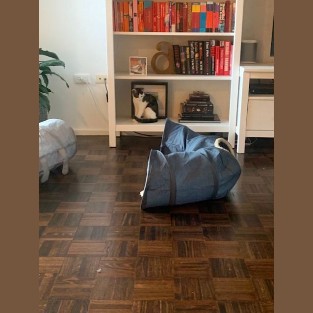 Photo of Blackcurrant