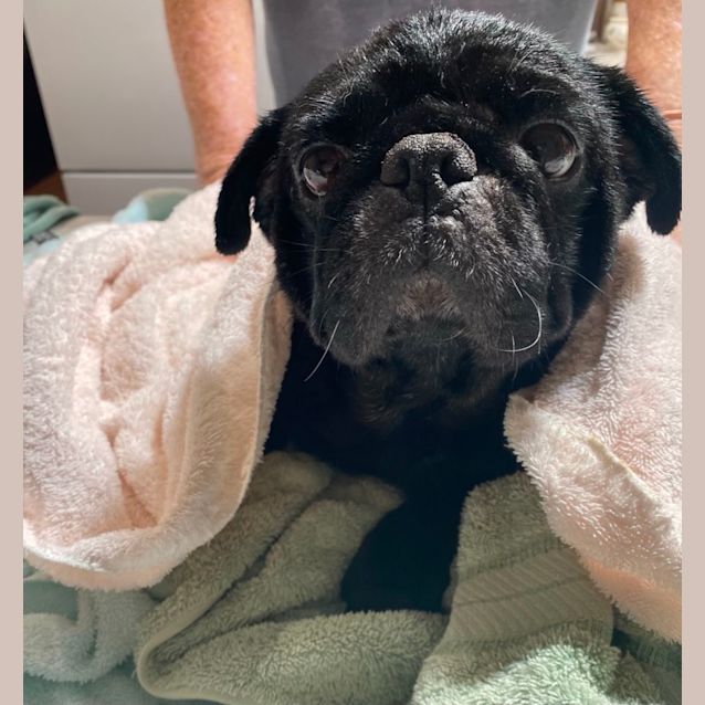 Photo of Meg And Wally 