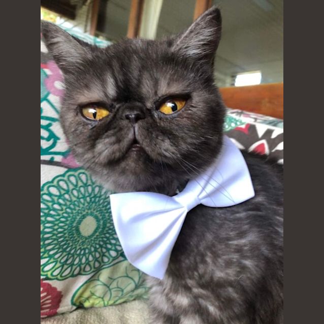 Photo of  Miss Pearl