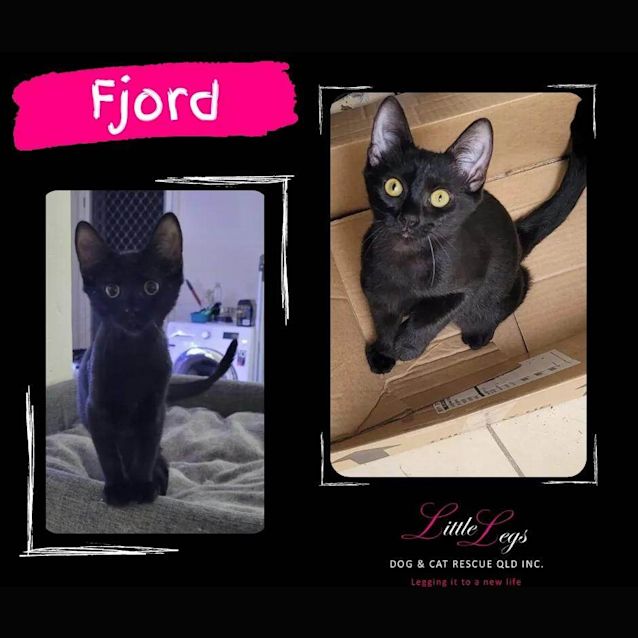 Photo of Fjord