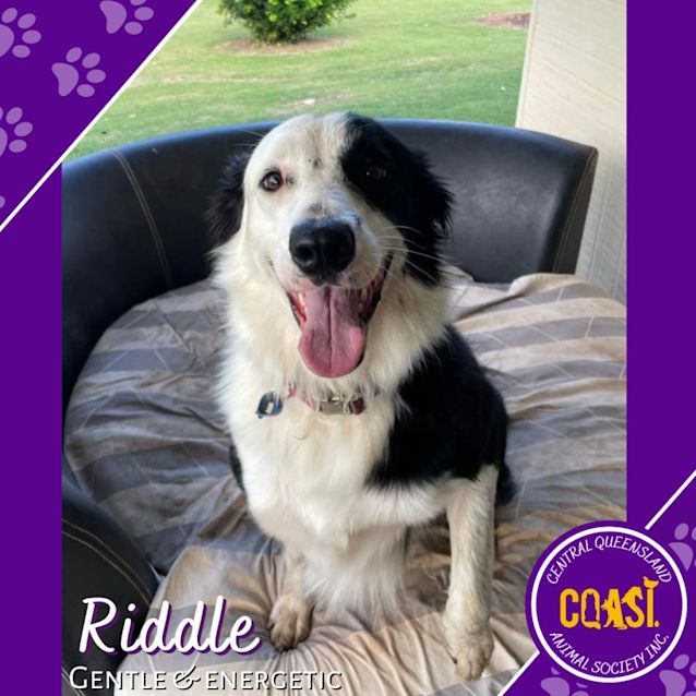 Photo of Riddle