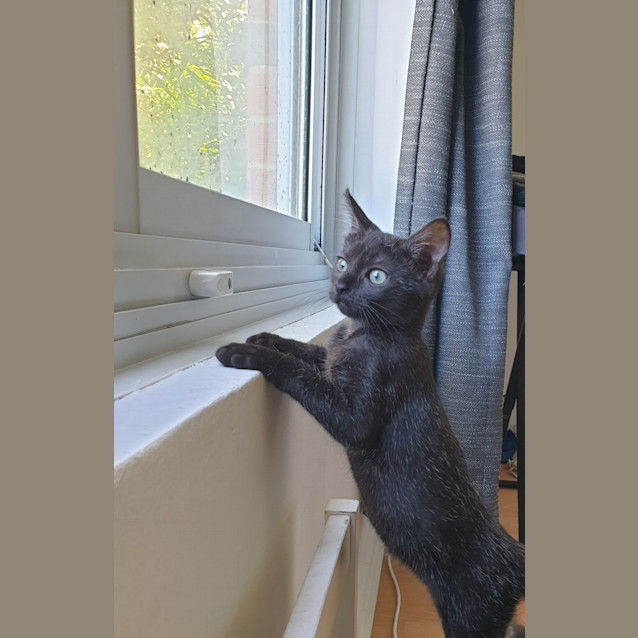 Photo of Bernie And Amy 