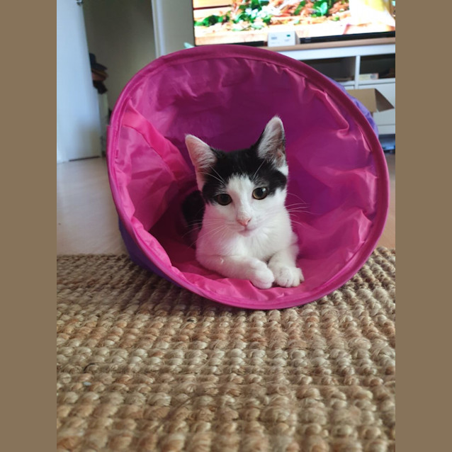 Photo of Bernie And Amy 