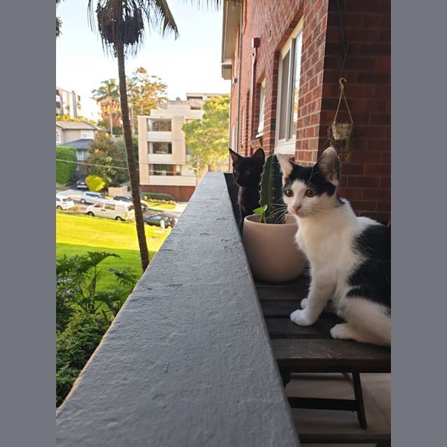 Photo of Bernie And Amy 