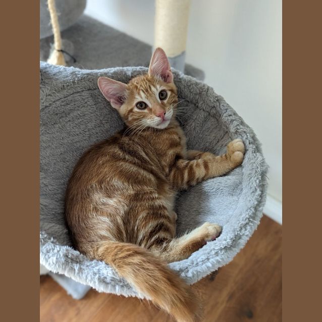 Photo of Benny