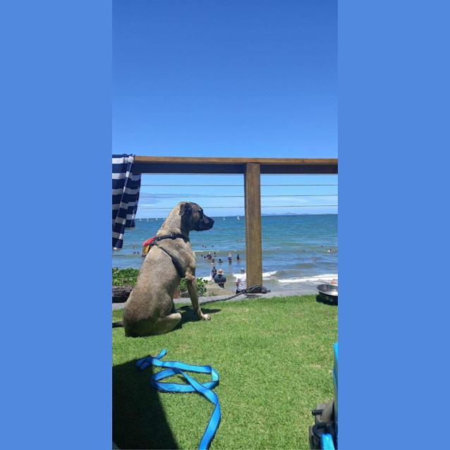 Photo of Griffin