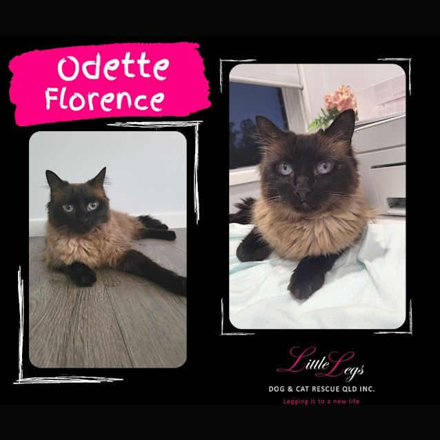 Photo of Odette Florence