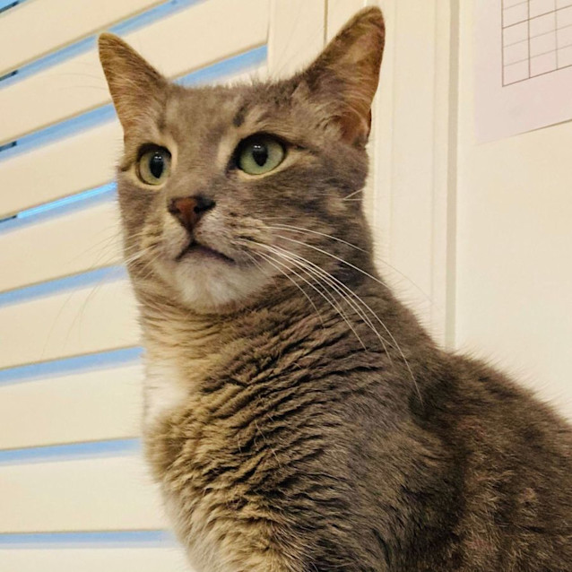 Photo of Dumpling   Located In Melbourne