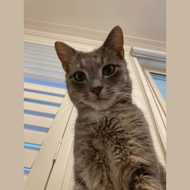 Photo of Dumpling   Located In Melbourne