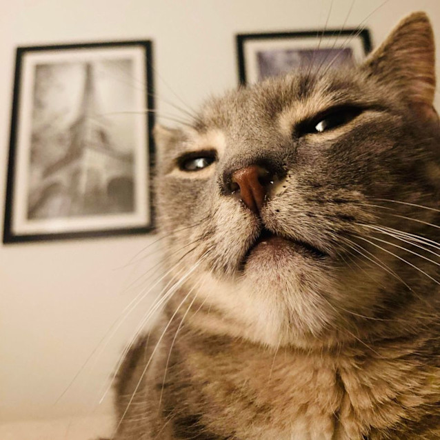 Photo of Dumpling   Located In Melbourne