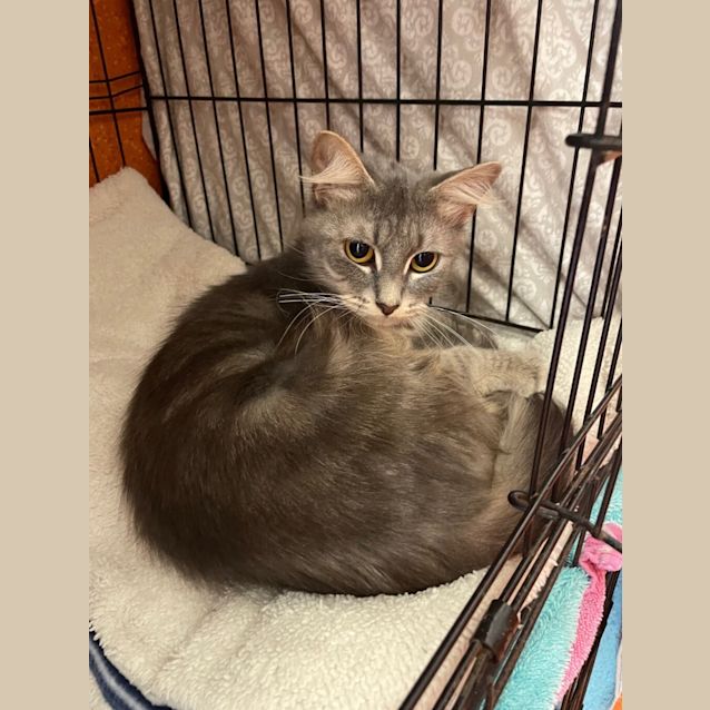 Photo of Odette
