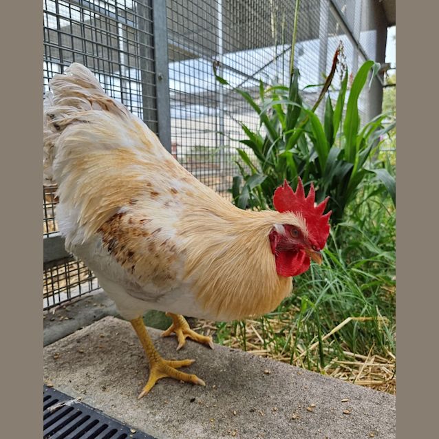 Photo of Bingo