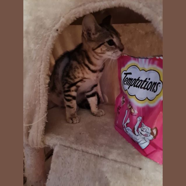 Photo of Leia