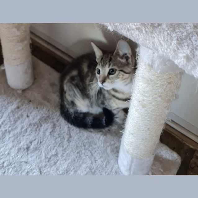 Photo of Leia